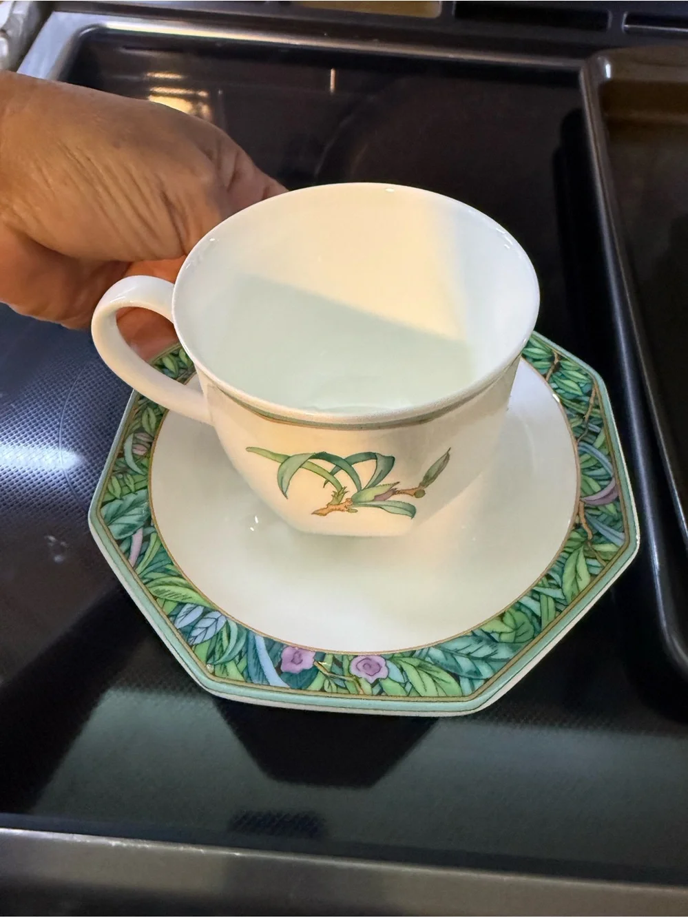 Villeroy & Boch White Teacup and Saucer with Green Botanical Trim
